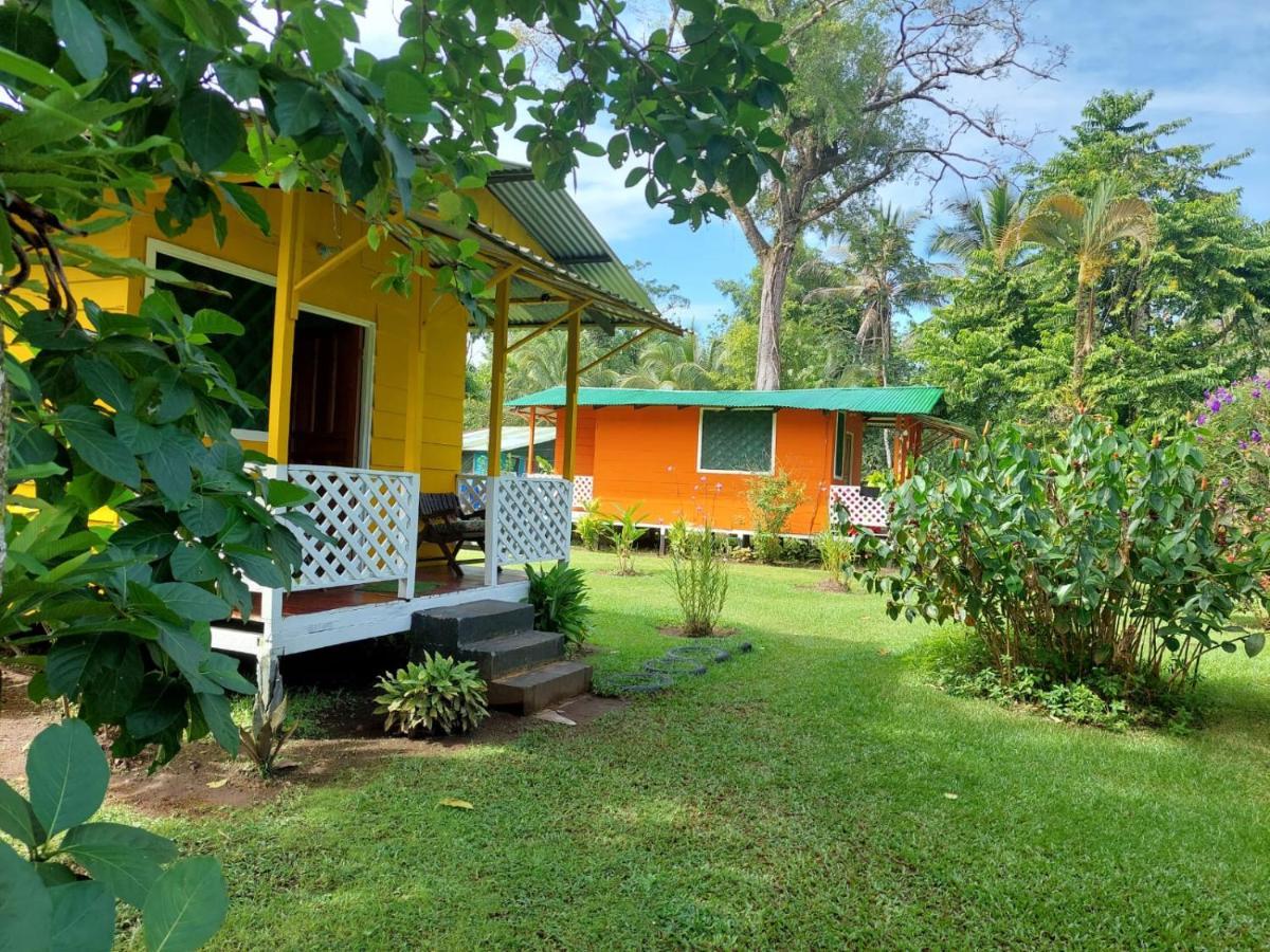 All Rankins Eco-Lodge ตอร์ตูเกโร ภายนอก รูปภาพ