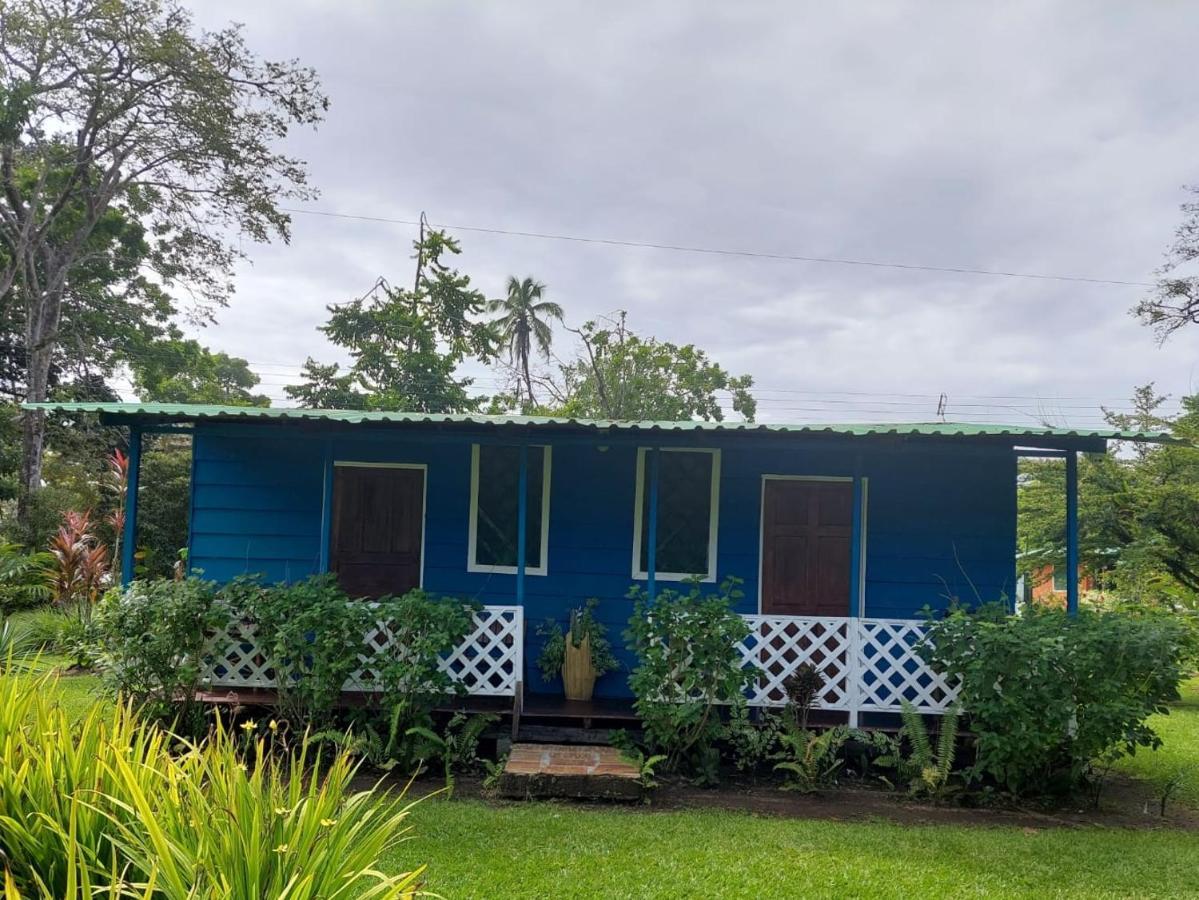 All Rankins Eco-Lodge ตอร์ตูเกโร ภายนอก รูปภาพ