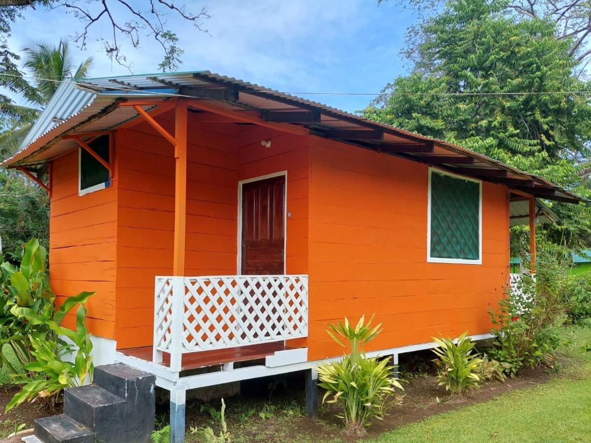 All Rankins Eco-Lodge ตอร์ตูเกโร ภายนอก รูปภาพ