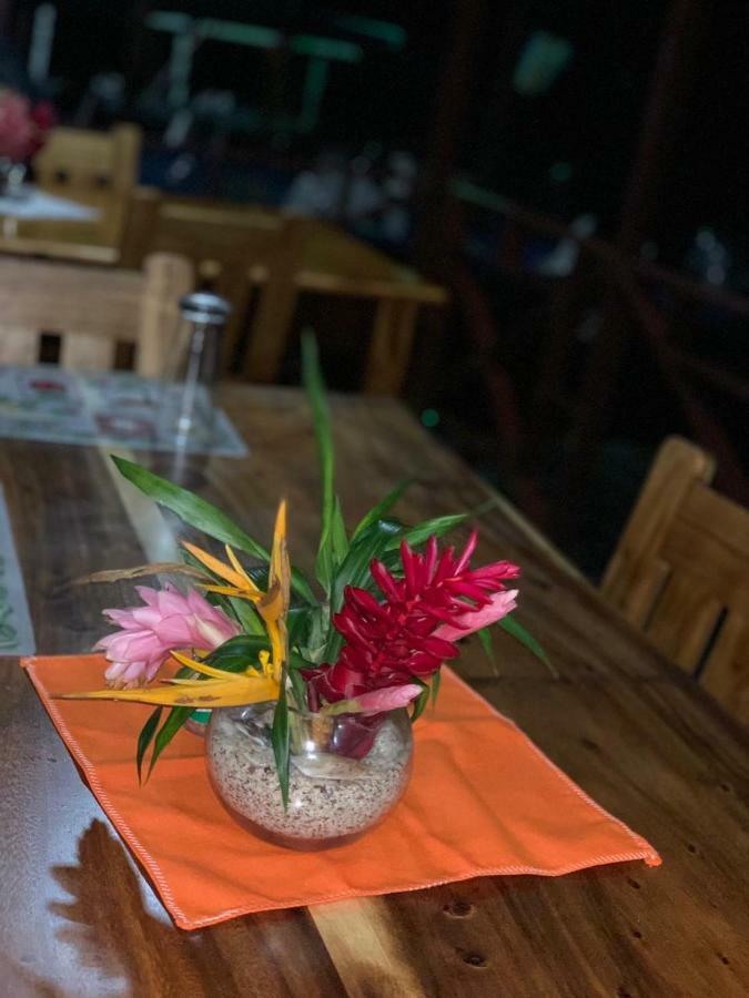 All Rankins Eco-Lodge ตอร์ตูเกโร ภายนอก รูปภาพ