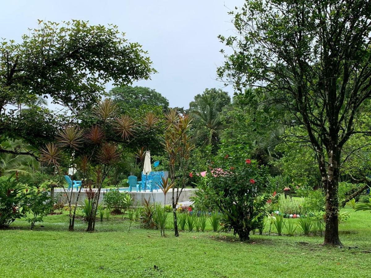 All Rankins Eco-Lodge ตอร์ตูเกโร ภายนอก รูปภาพ