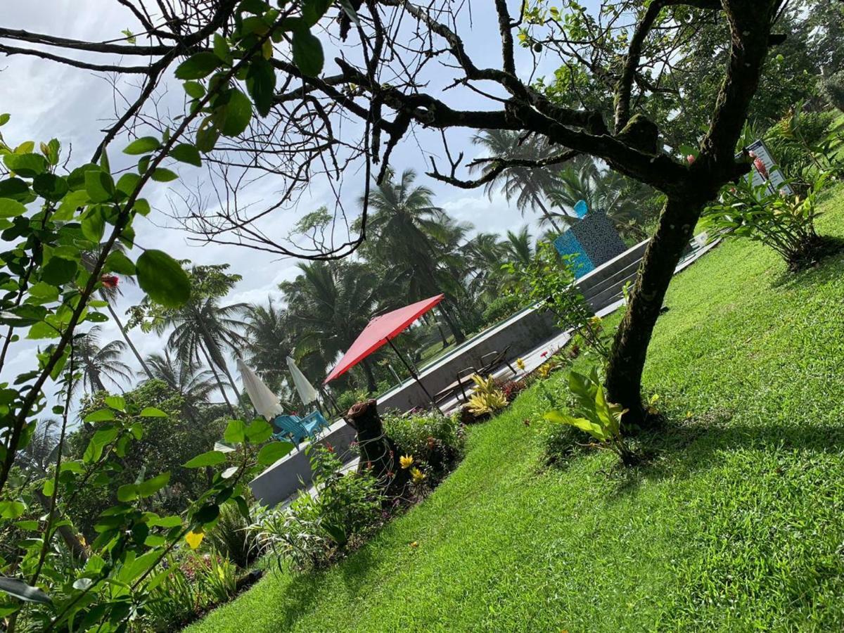 All Rankins Eco-Lodge ตอร์ตูเกโร ภายนอก รูปภาพ