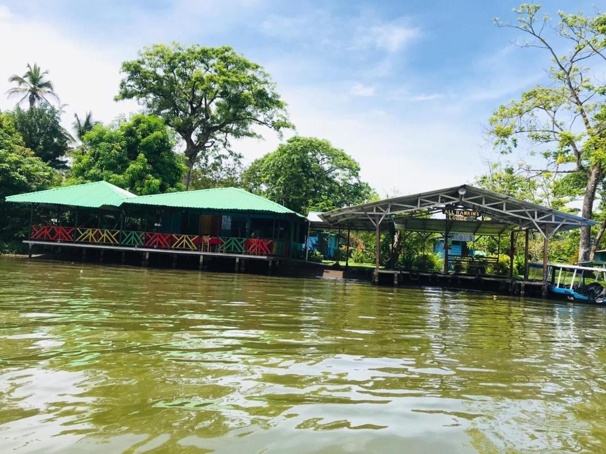 All Rankins Eco-Lodge ตอร์ตูเกโร ภายนอก รูปภาพ
